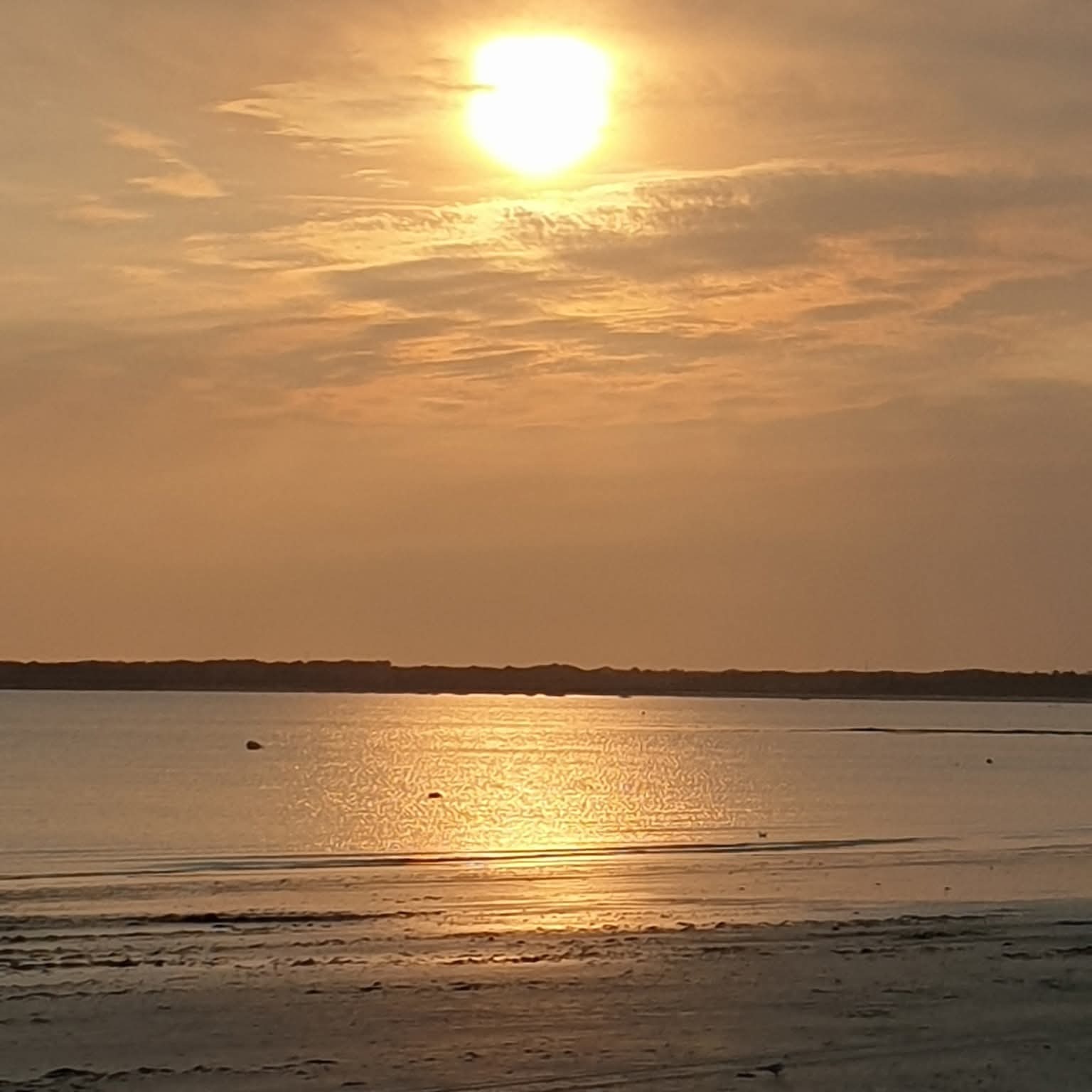 Photo d’André ECHEVARD