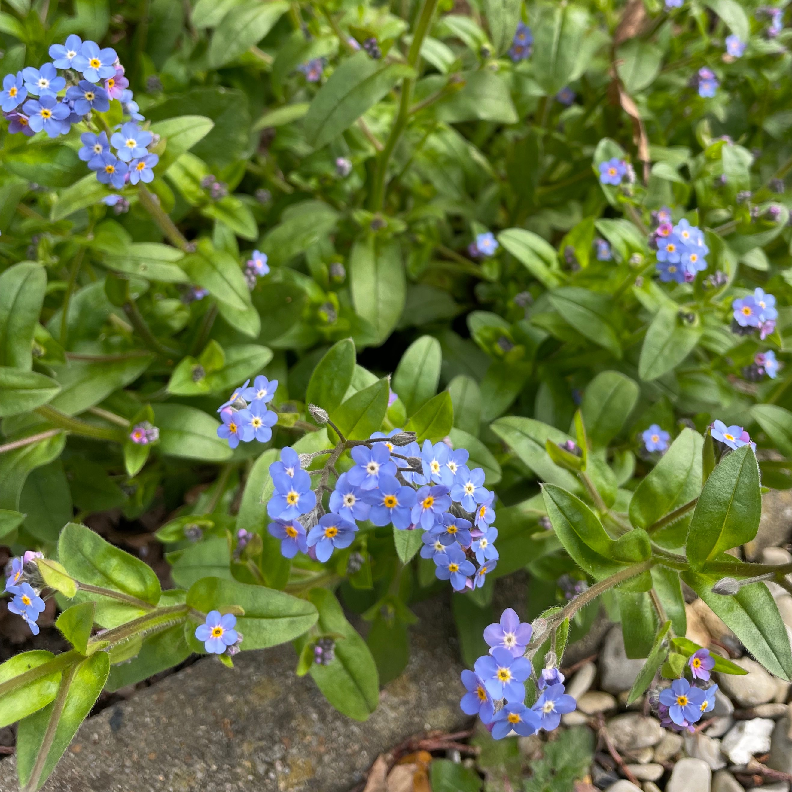 Photo de Danièle BÉNÉTREAU