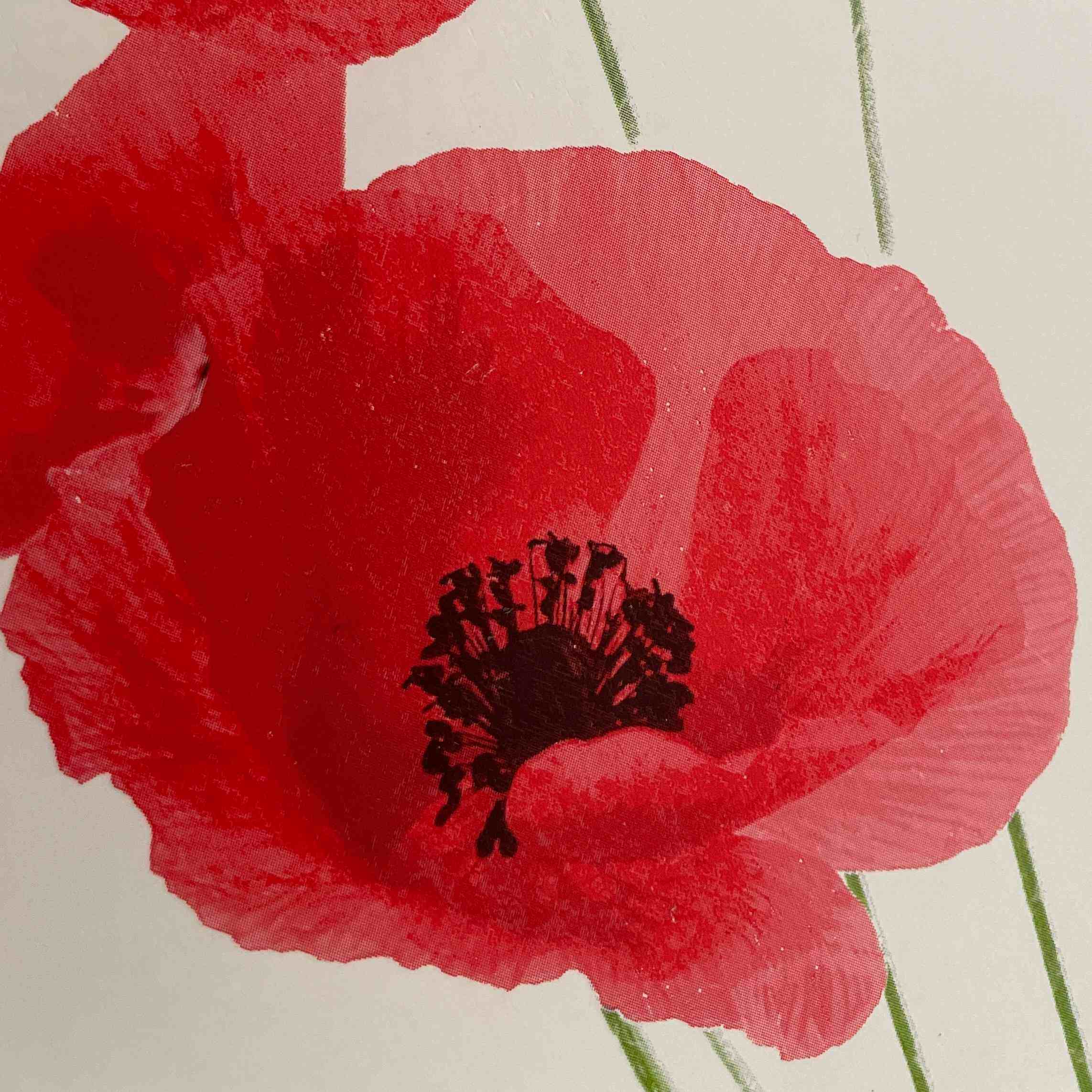 Photo de Danièle BÉNÉTREAU