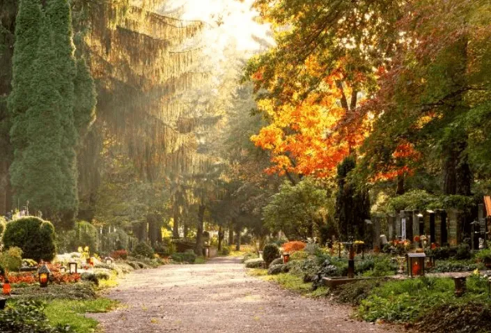 Allée centrale d'un cimetière paysager sous des arbres aux couleurs d'automne